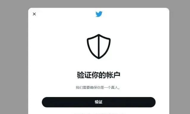 推特账号总是弹出安全验证怎么办？原因排查与正确处理步骤